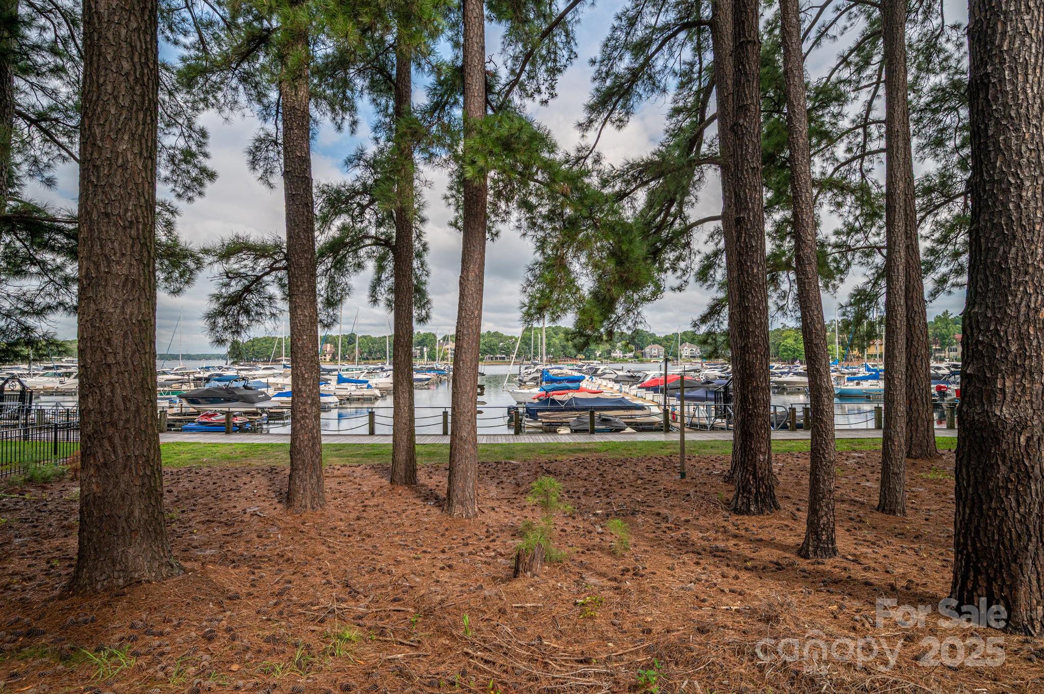 18337 Harbor Light Boulevard Property Photo 6