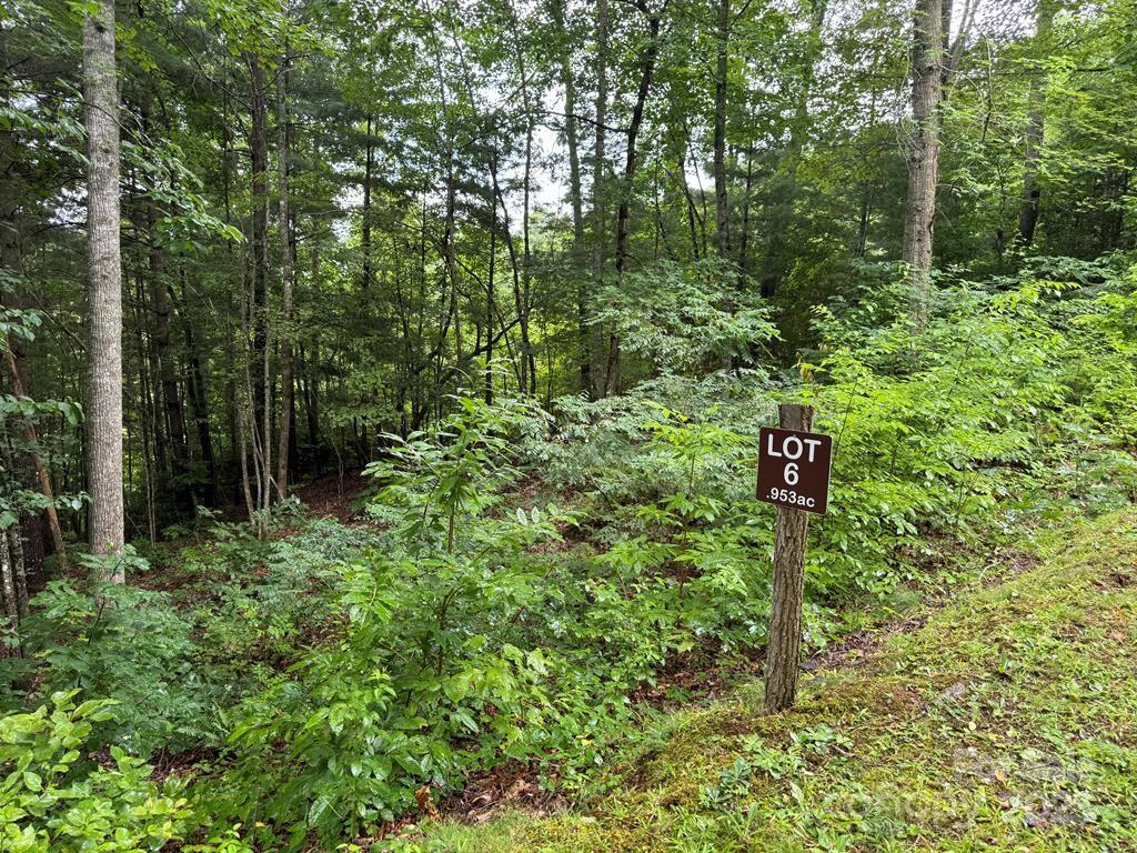 Lot 6 Garnet Road Property Photo 1