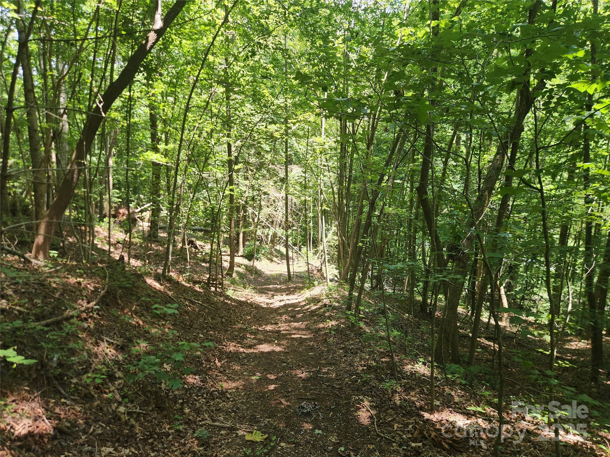2003 Zacks Fork Road Property Photo 2
