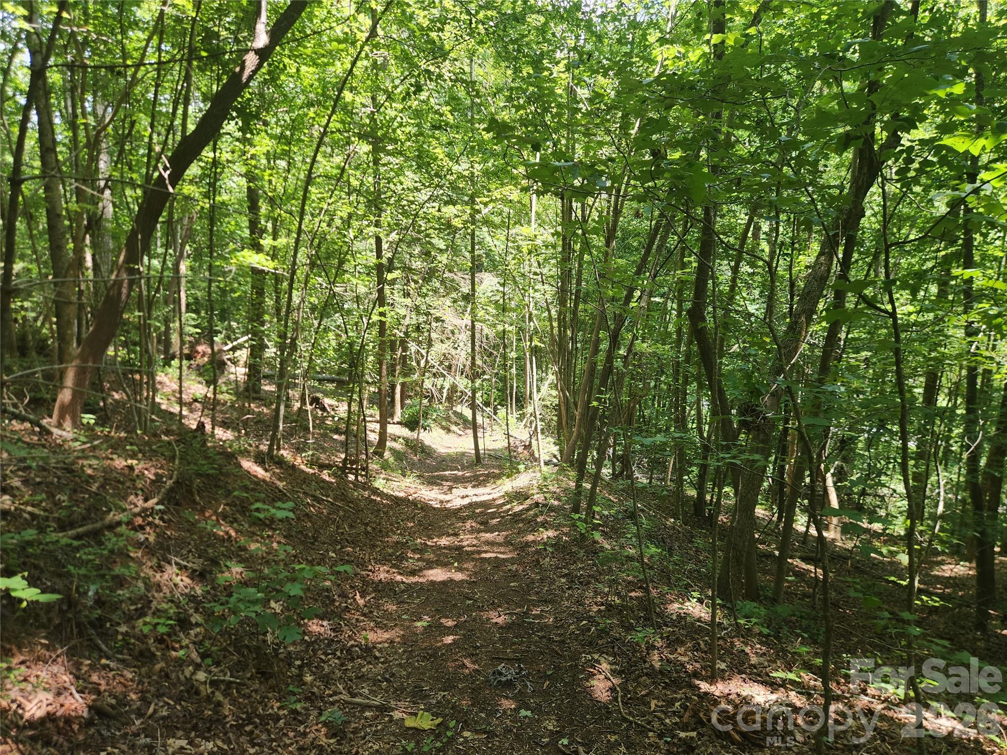 2003 Zacks Fork Road Property Photo 2