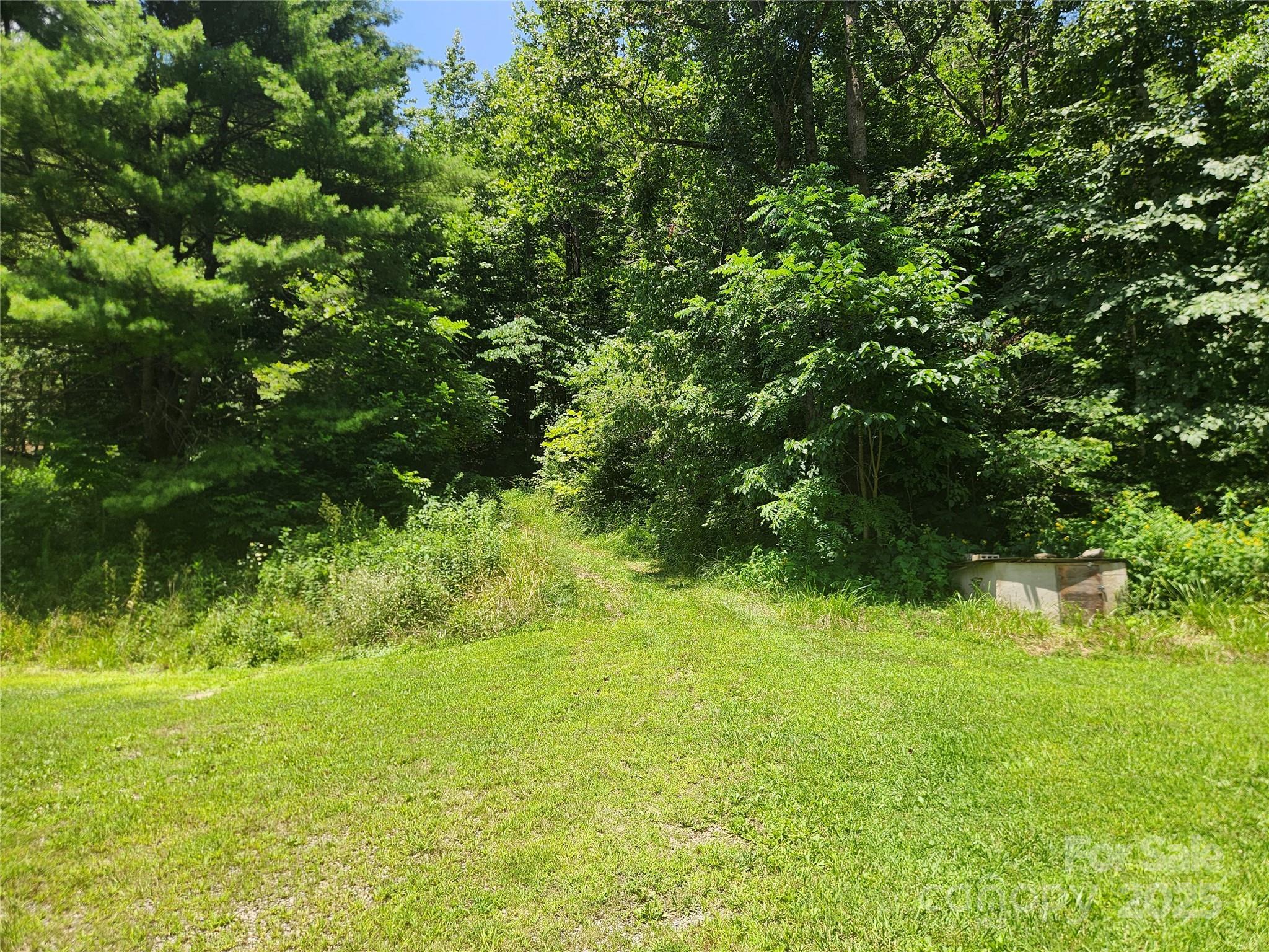 2003 Zacks Fork Road Property Photo 4