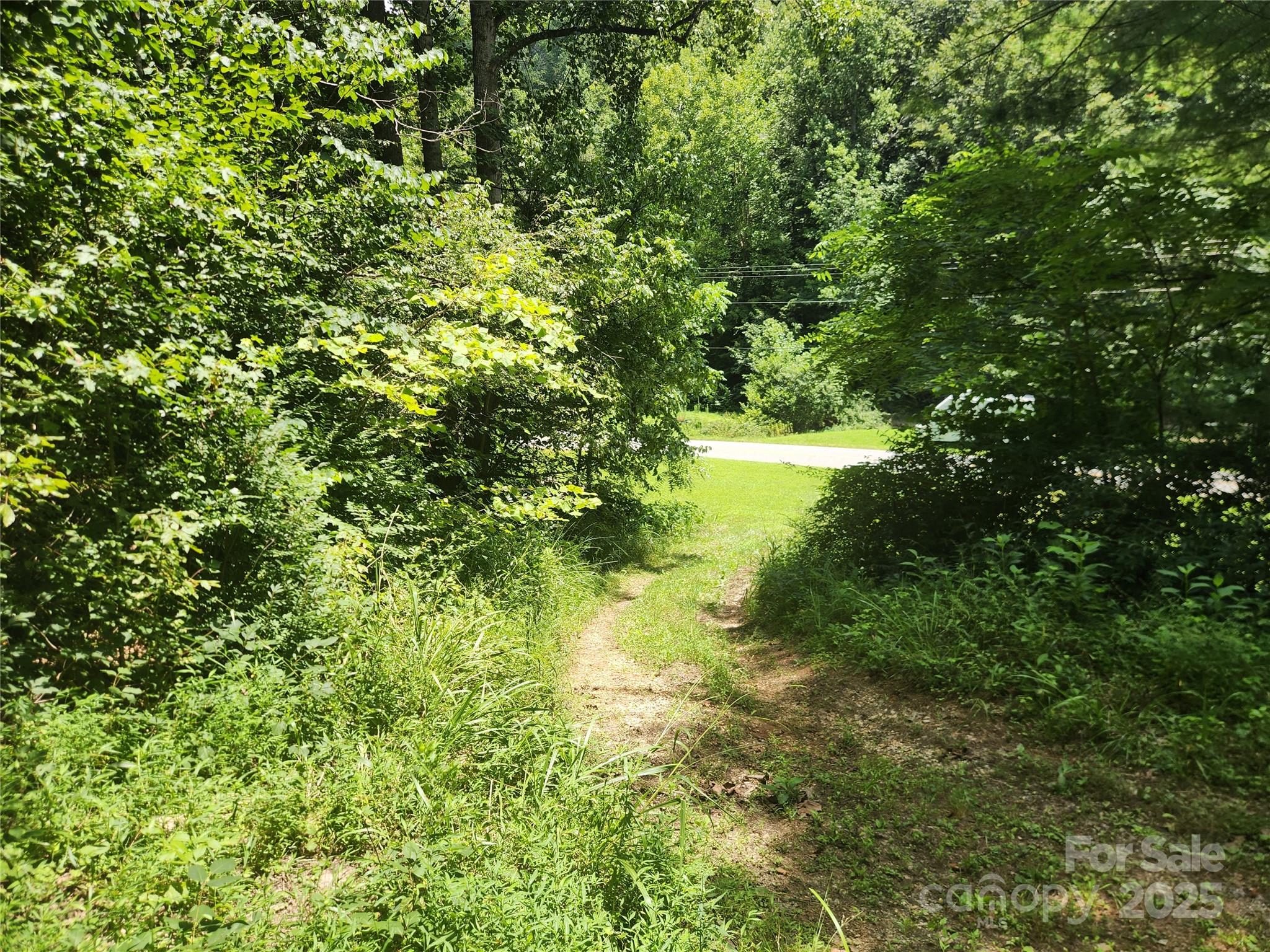 2003 Zacks Fork Road Property Photo 5