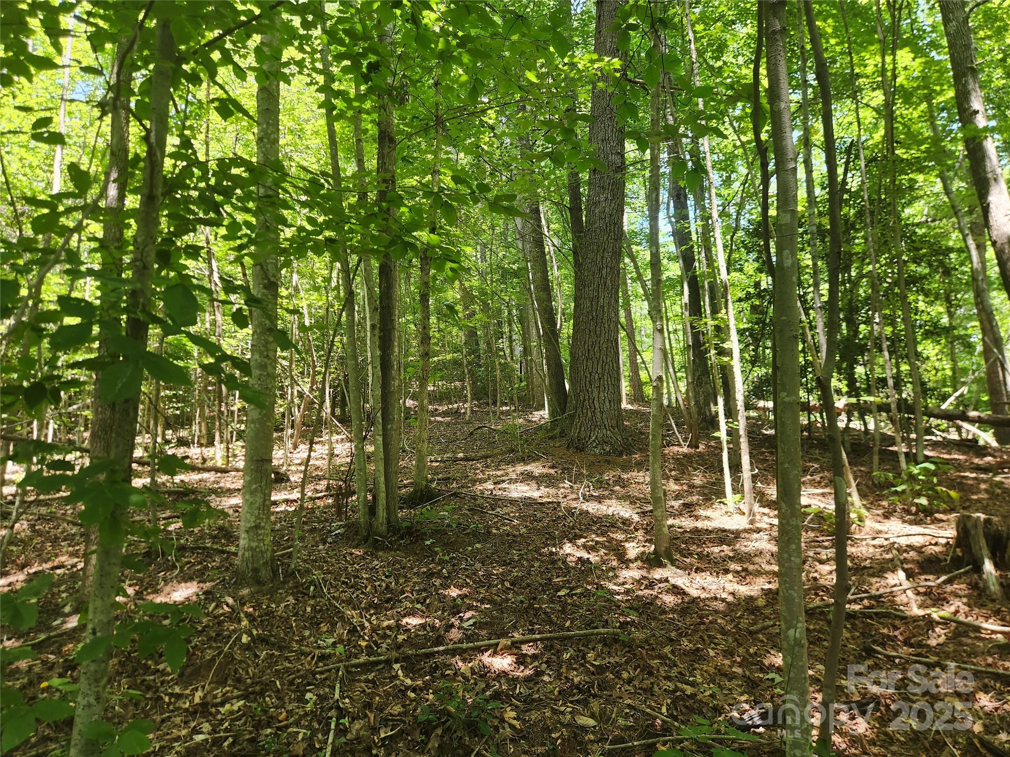 2003 Zacks Fork Road Property Photo 6
