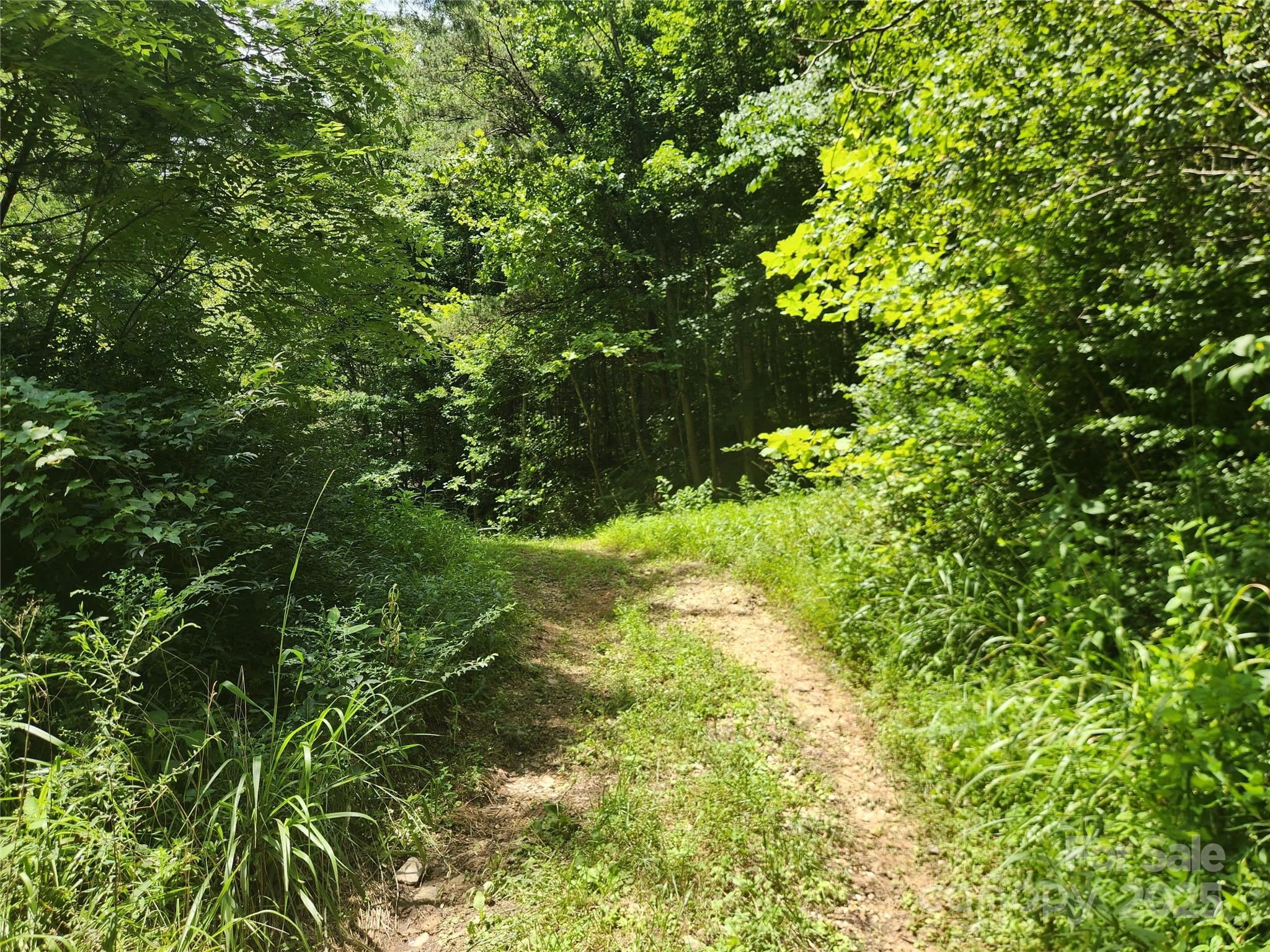 2003 Zacks Fork Road Property Photo 18