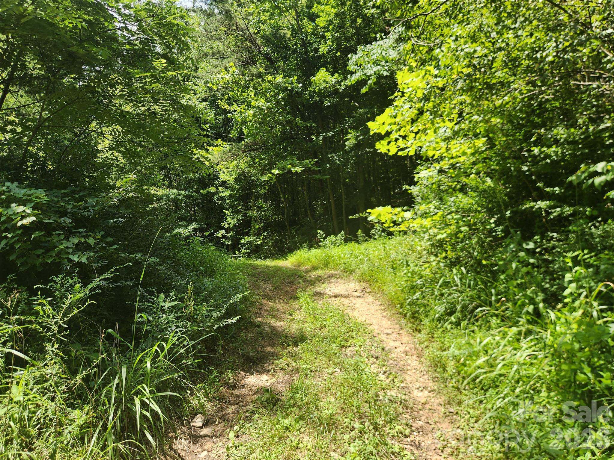 2003 Zacks Fork Road Property Photo 18