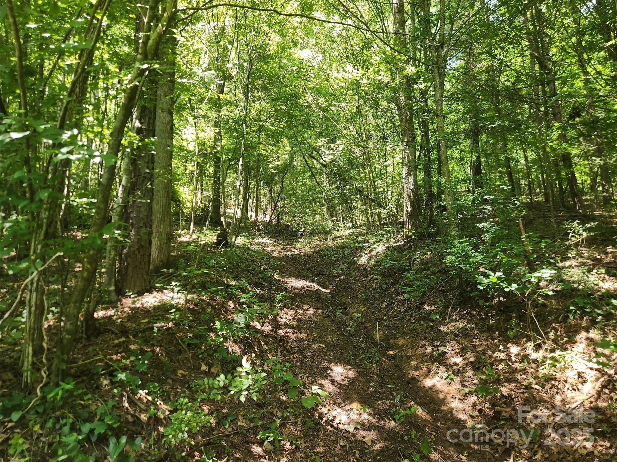 2003 Zacks Fork Road Property Photo 20