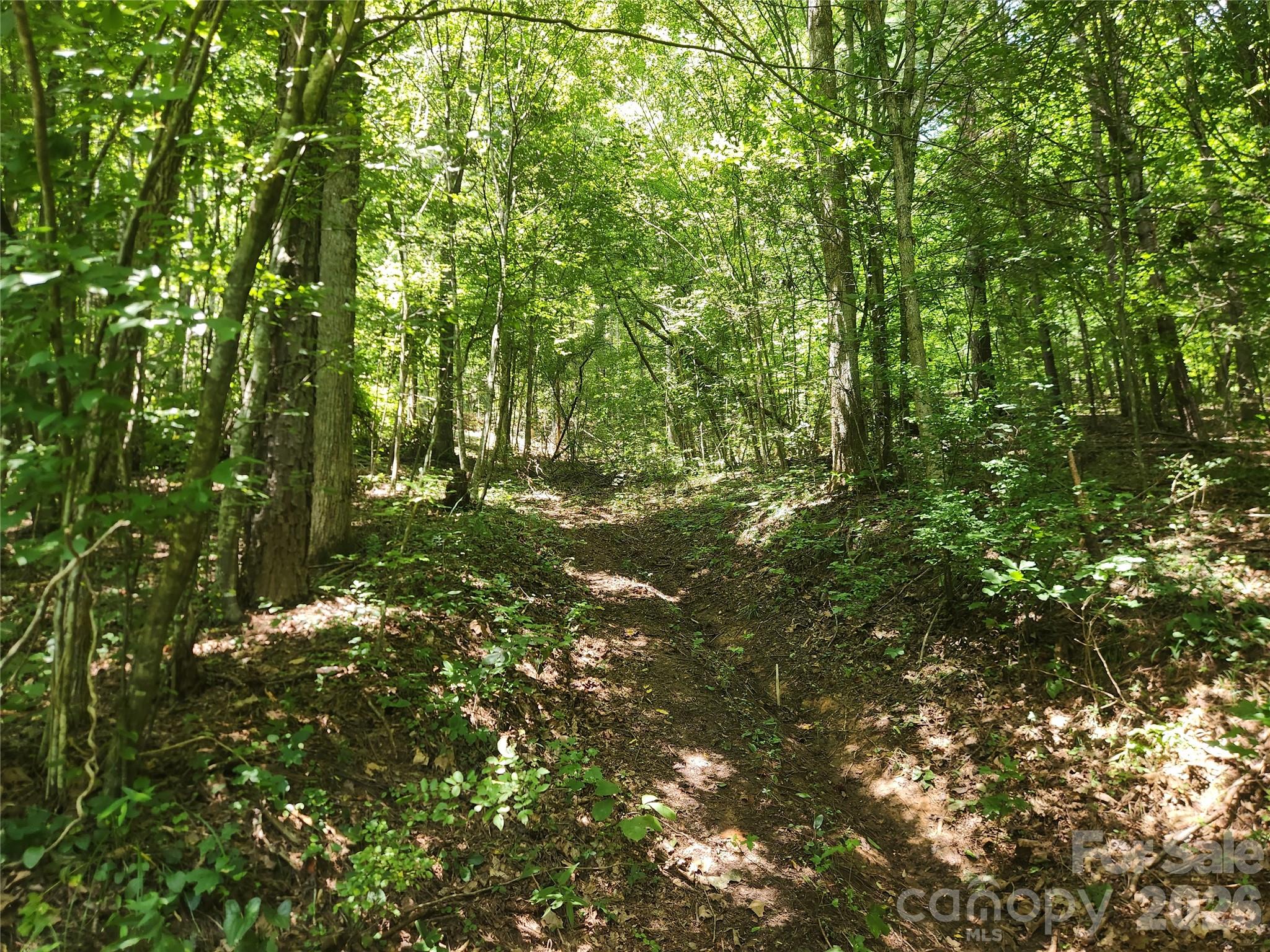 2003 Zacks Fork Road Property Photo 20