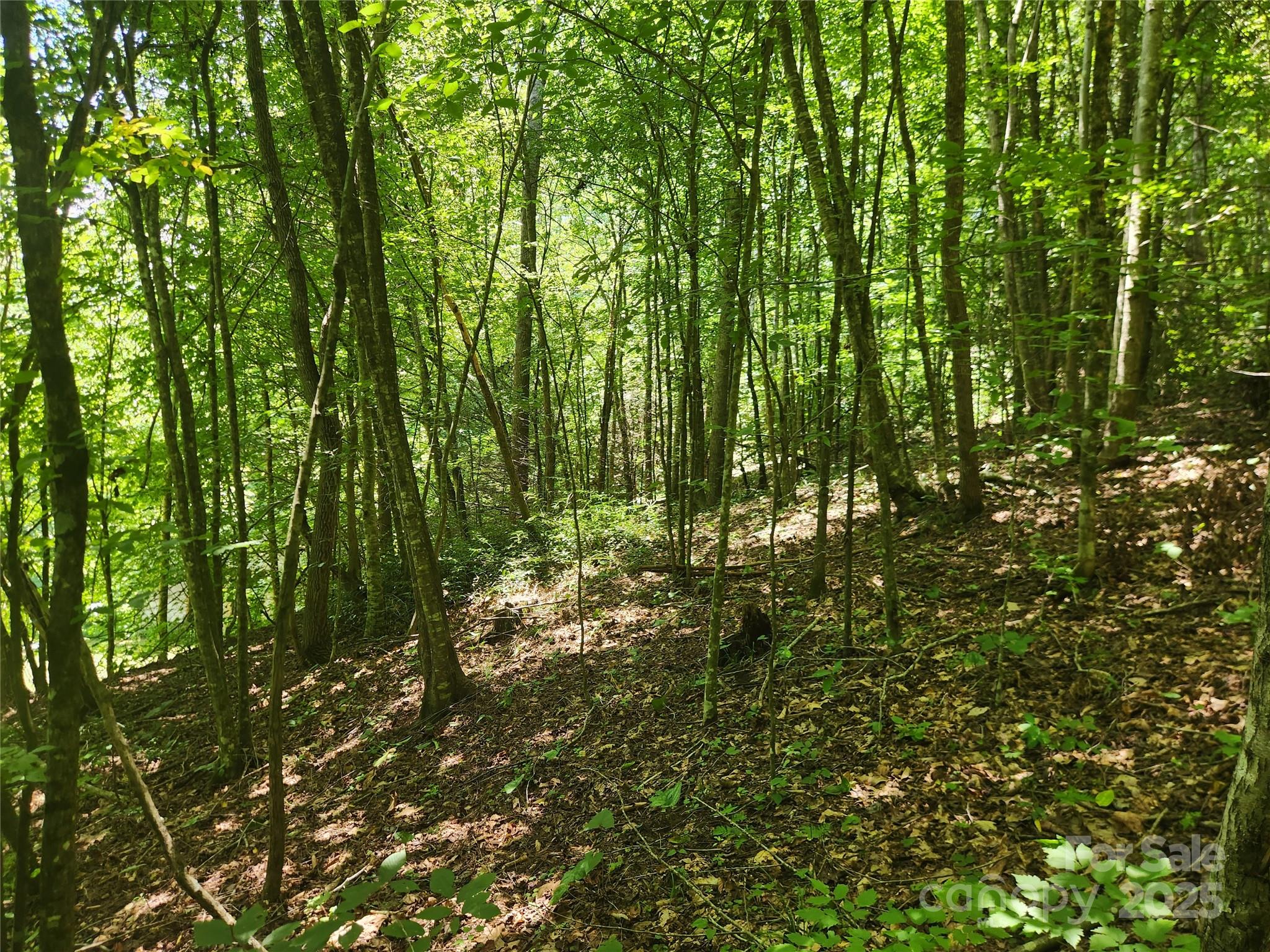 2003 Zacks Fork Road Property Photo 21