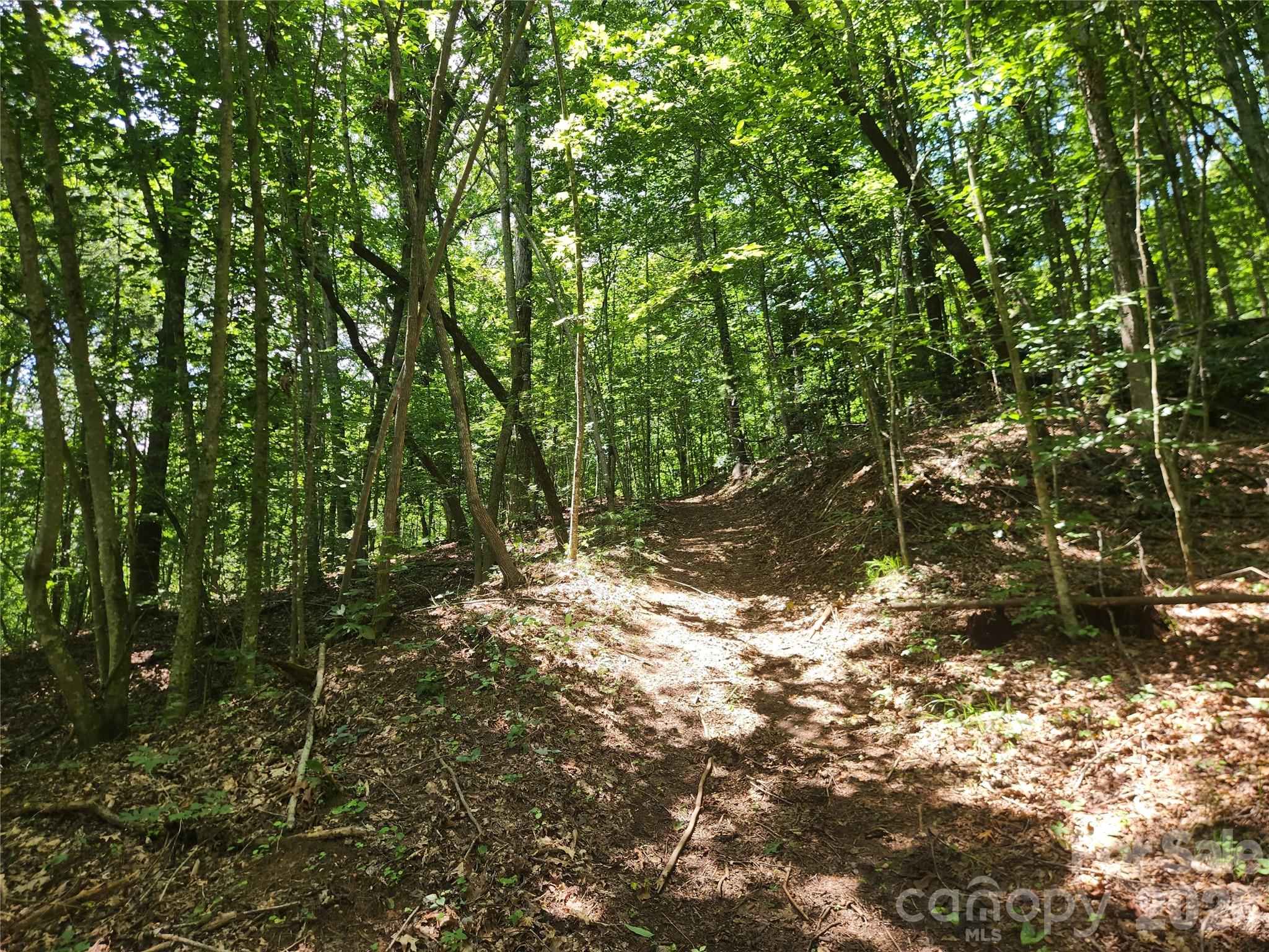 2003 Zacks Fork Road Property Photo 22