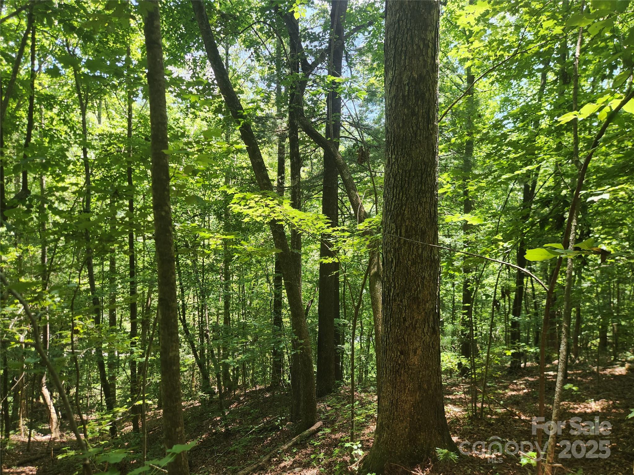 2003 Zacks Fork Road Property Photo 23