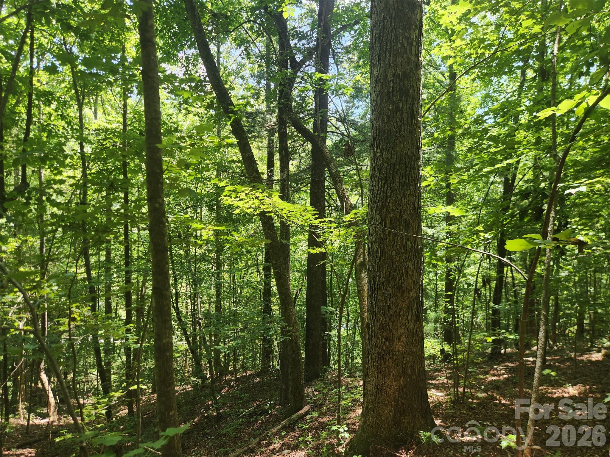 2003 Zacks Fork Road Property Photo 23