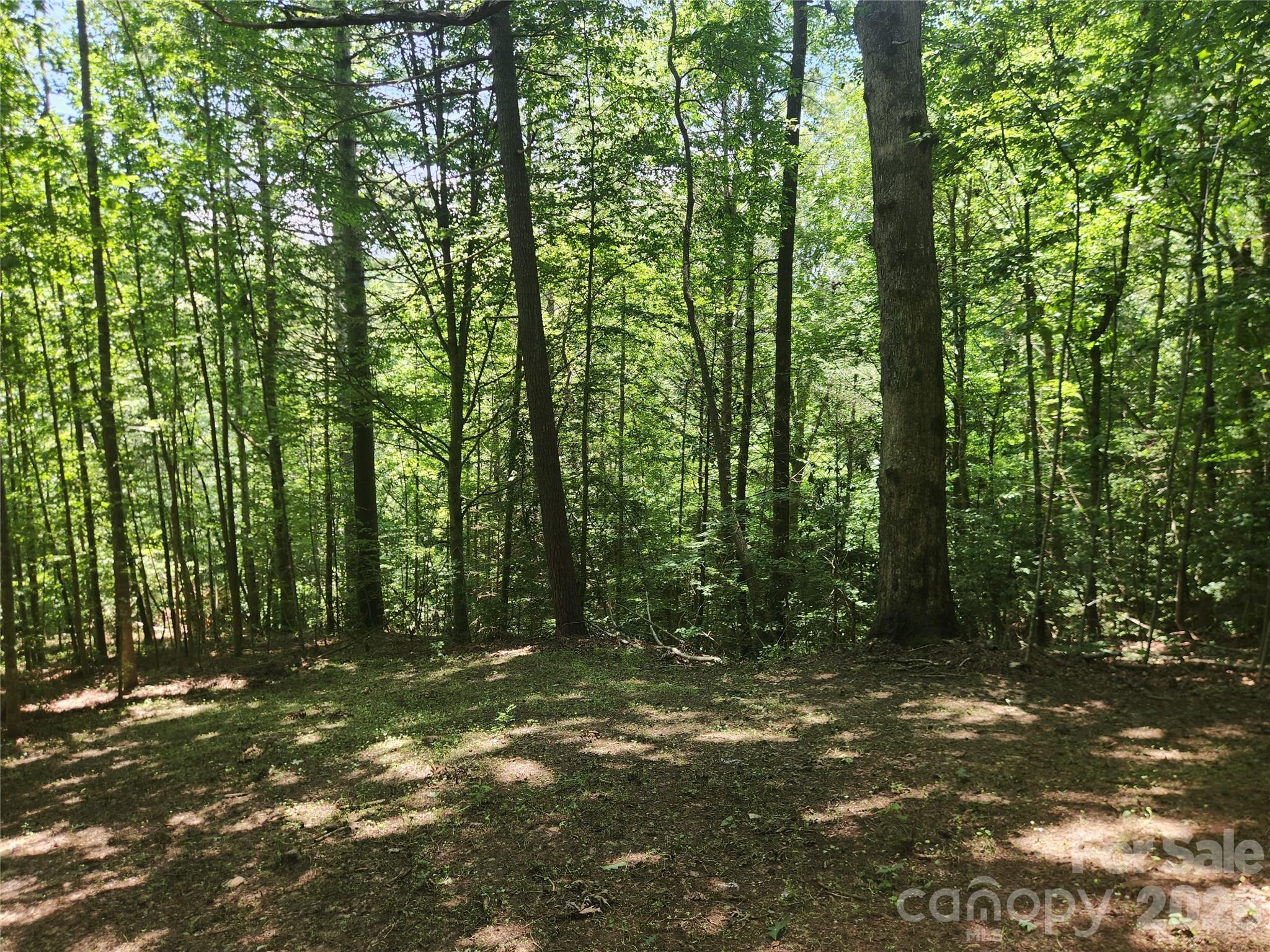 2003 Zacks Fork Road Property Photo 24