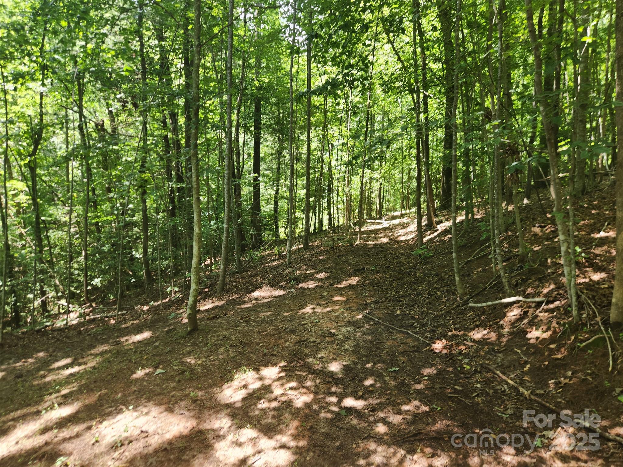 2003 Zacks Fork Road Property Photo 25