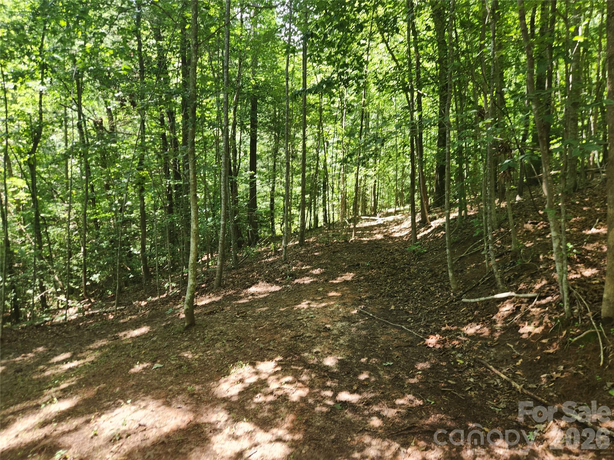 2003 Zacks Fork Road Property Photo 25