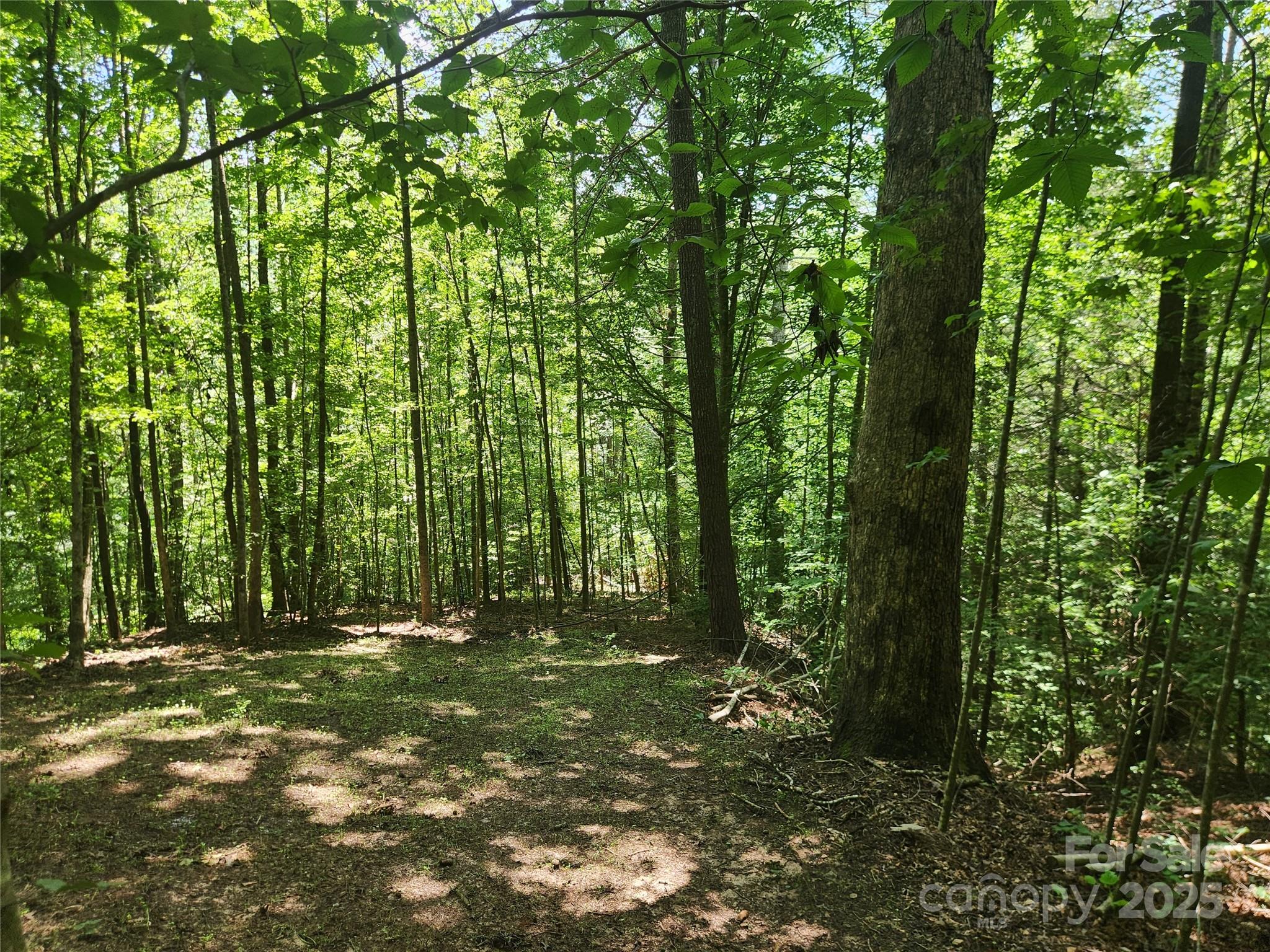 2003 Zacks Fork Road Property Photo 26