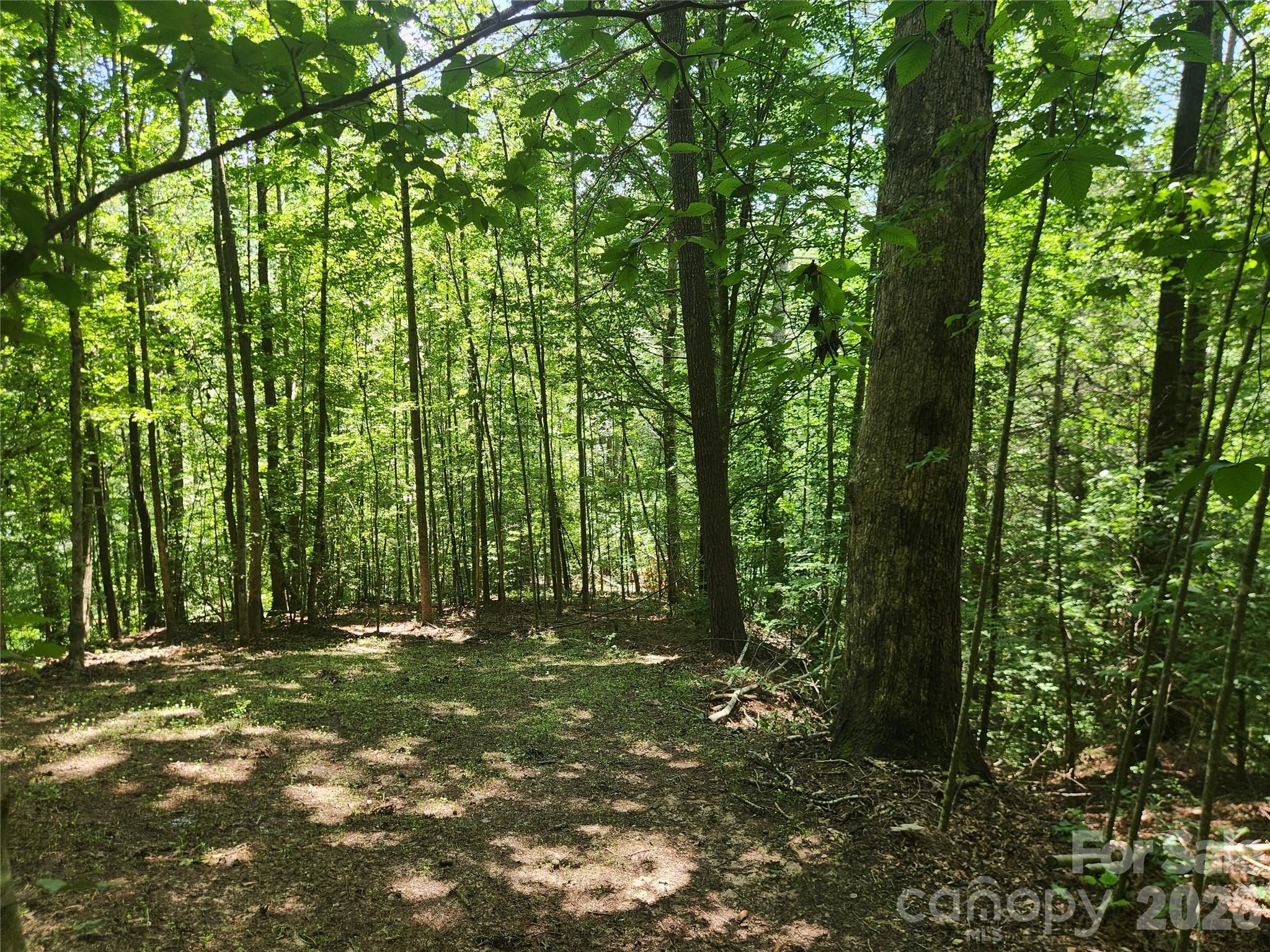 2003 Zacks Fork Road Property Photo 26
