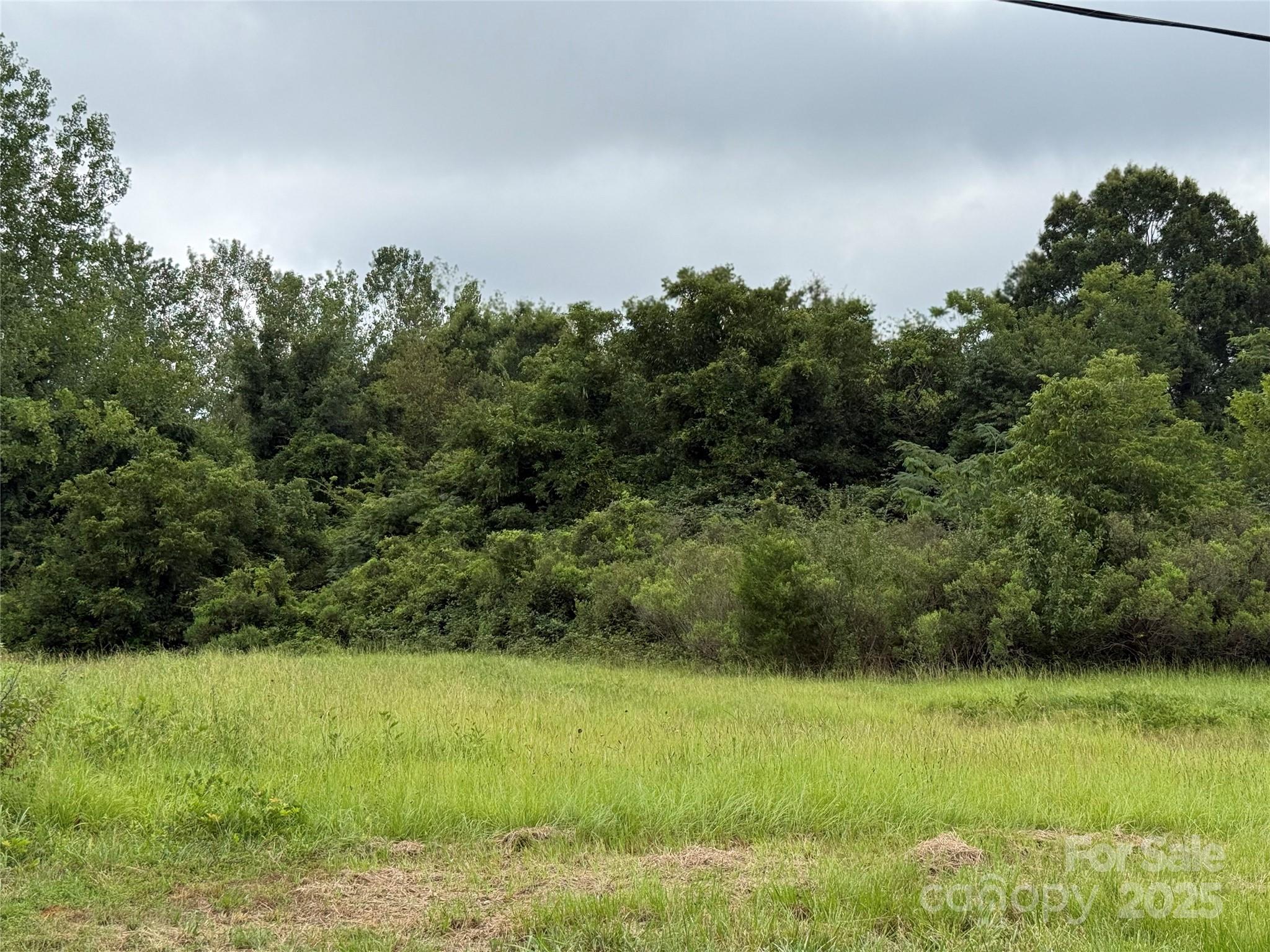 1001 Miller Street Property Photo 2