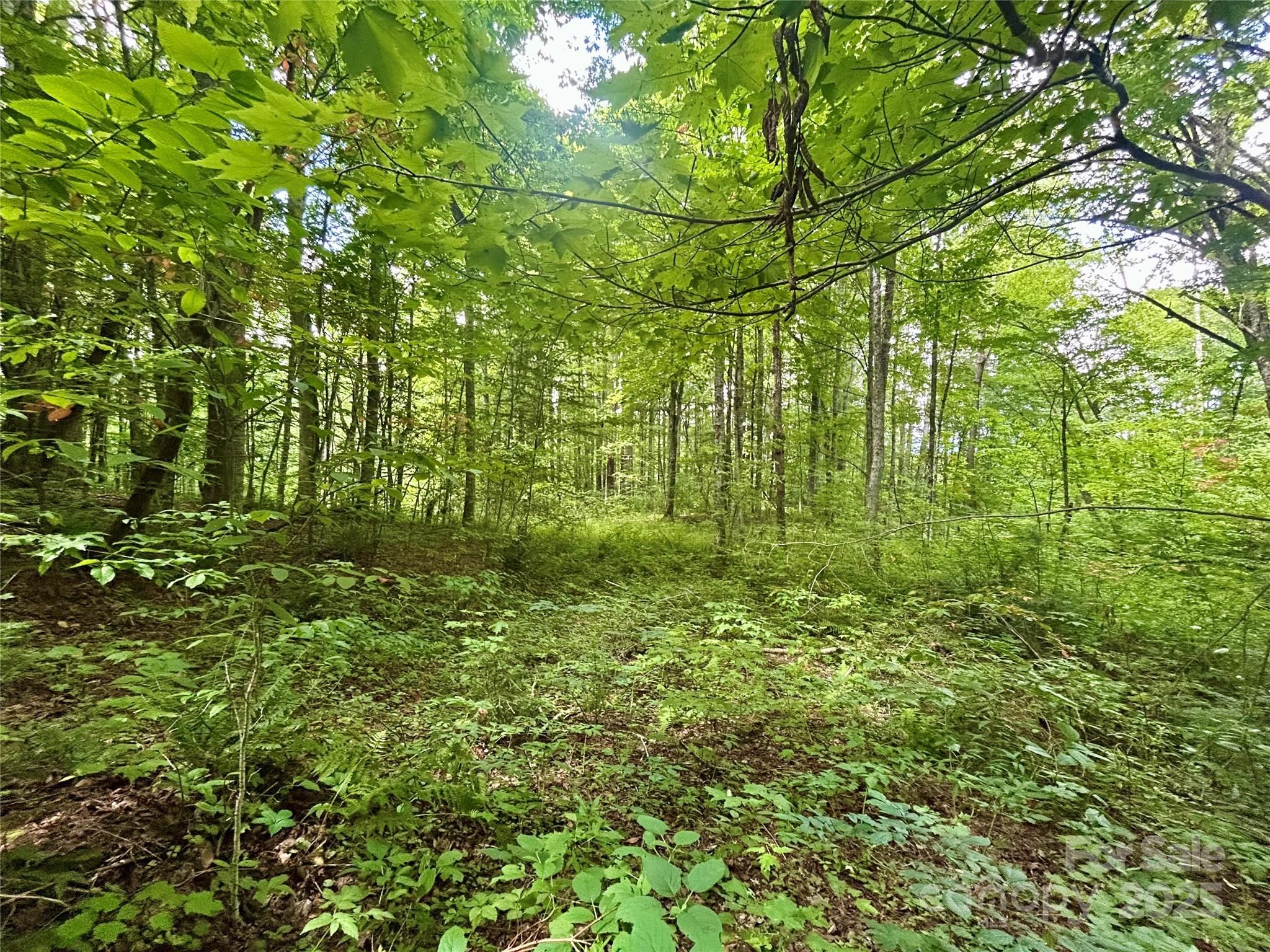 Tract 2 Nips Way Way Property Photo 1