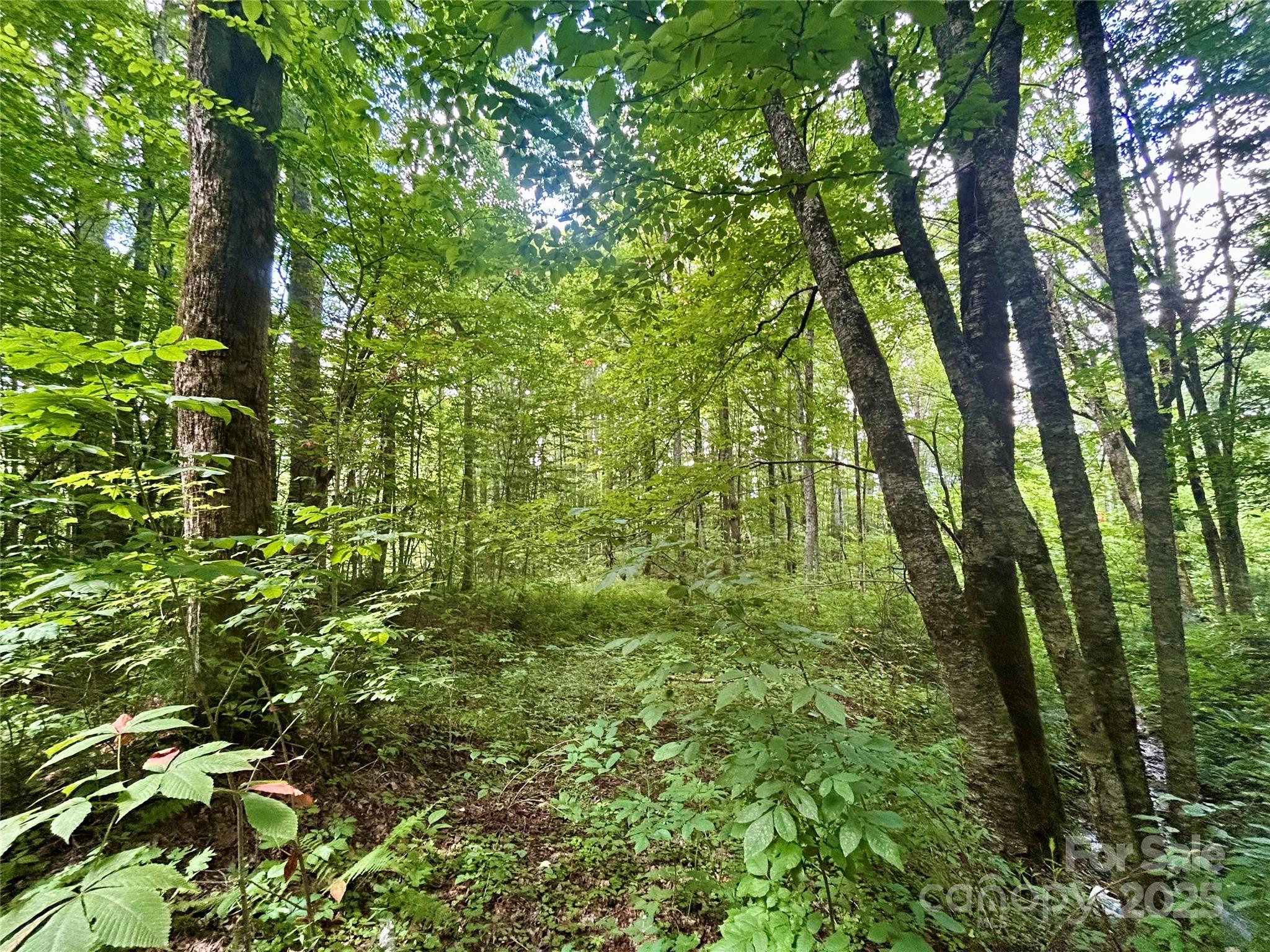 Tract 2 Nips Way Way Property Photo 3