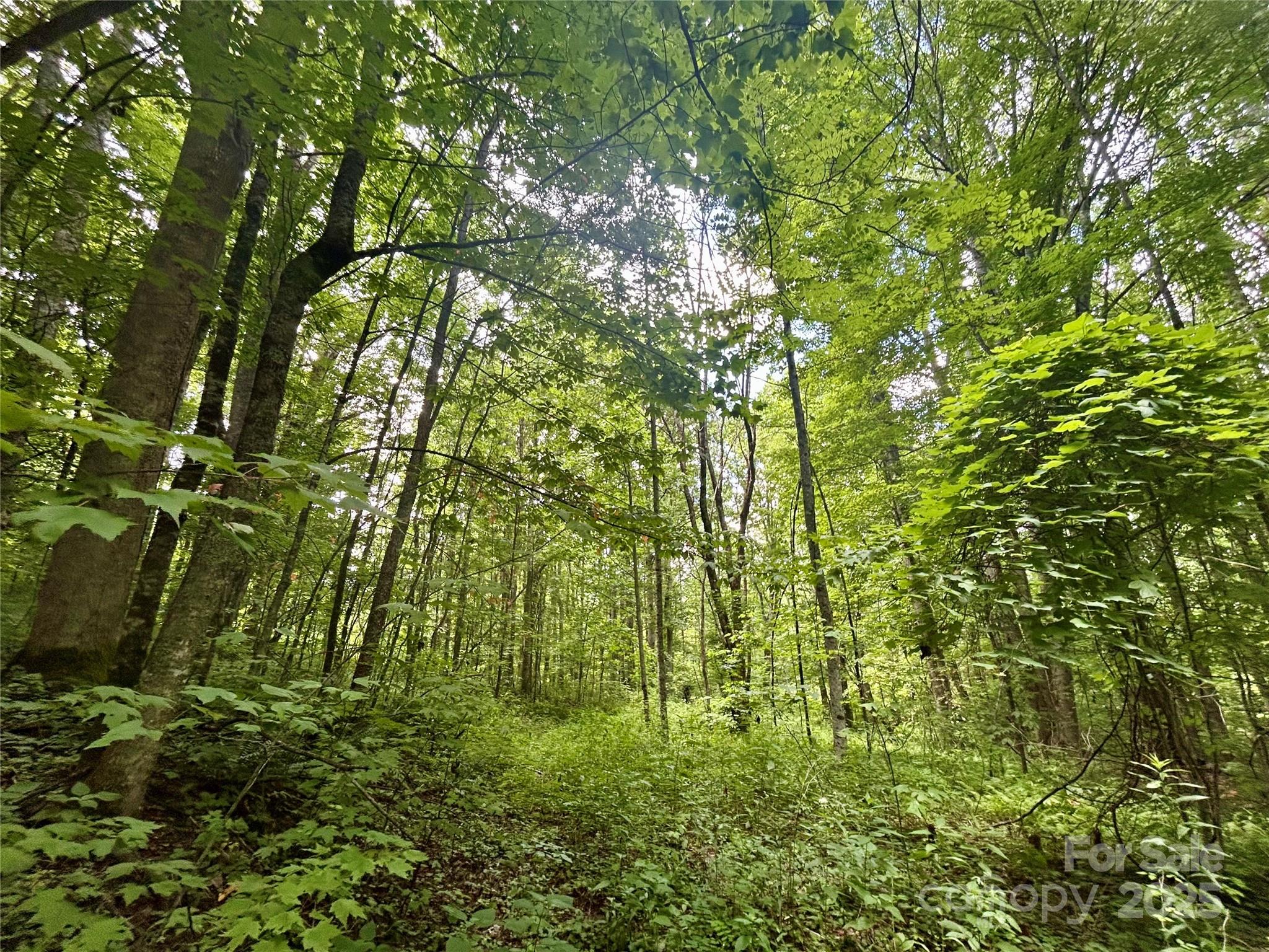 Tract 2 Nips Way Way Property Photo 4