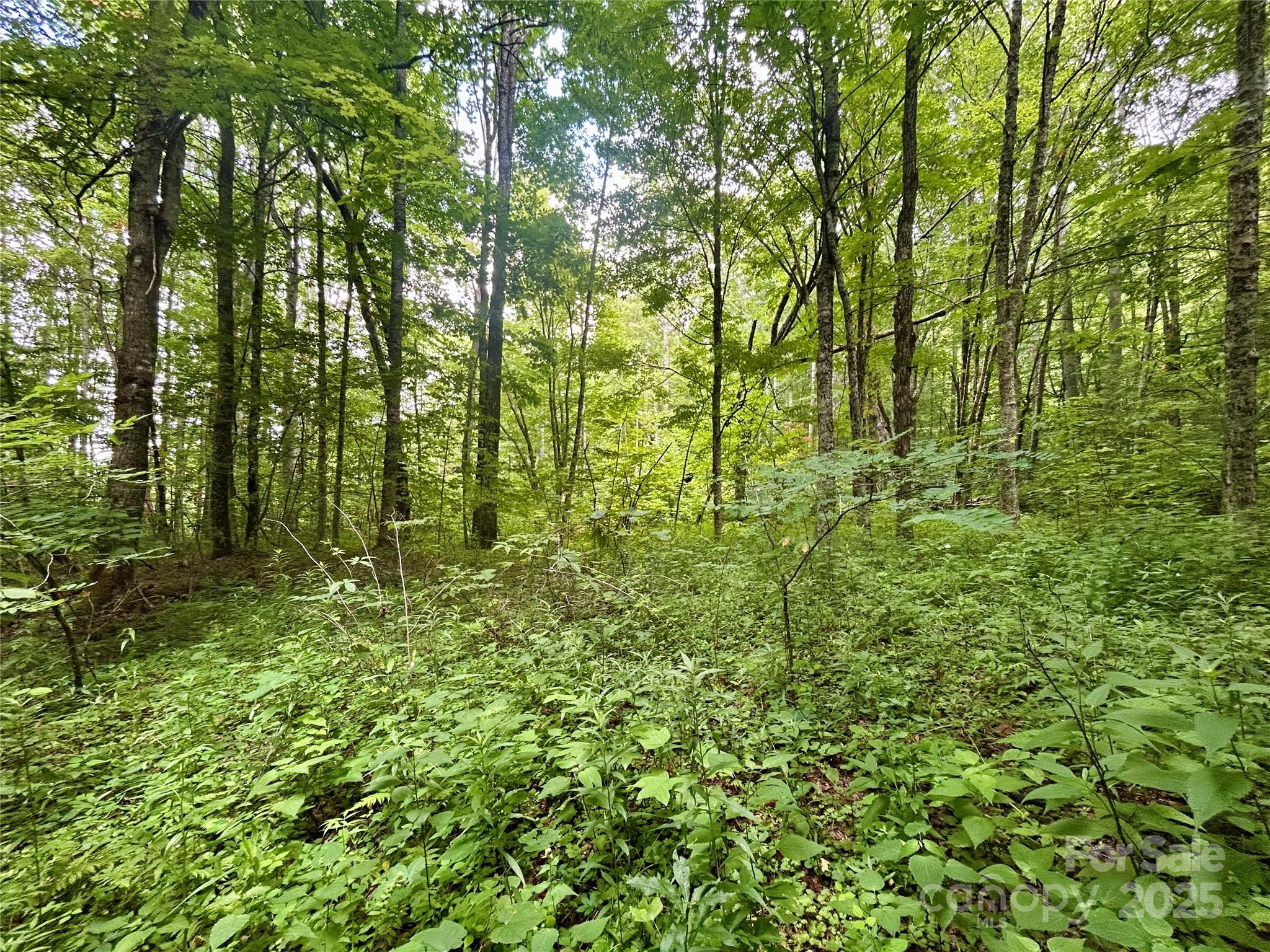 Tract 2 Nips Way Way Property Photo 7