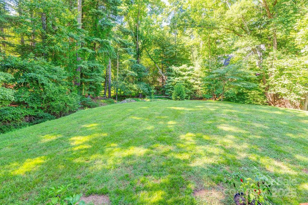 43 Kirby Road Property Photo 23