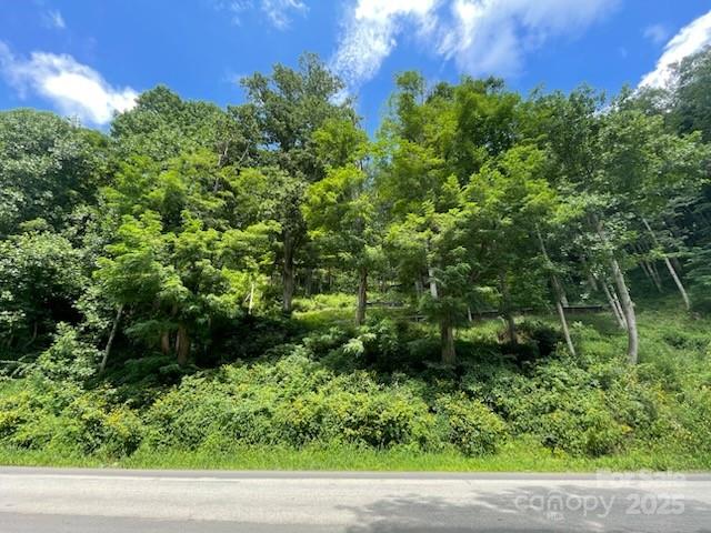 2457 N Us 19e Highway Property Photo 2