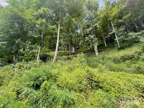 2457 N Us 19e Highway Property Photo 5