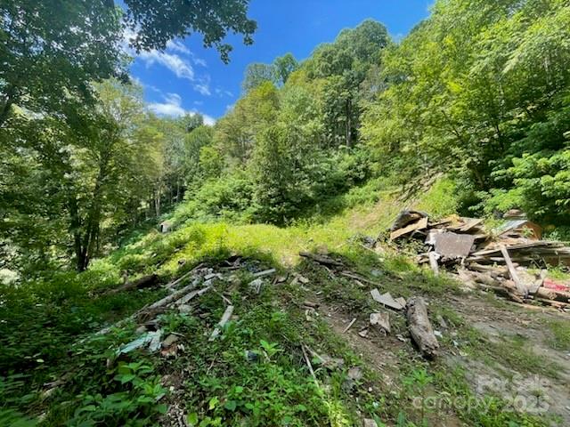 2457 N Us 19e Highway Property Photo 6