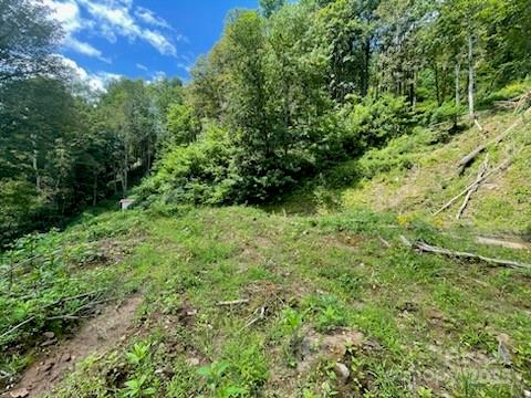 2457 N Us 19e Highway Property Photo 7