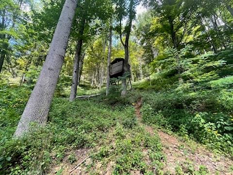 2457 N Us 19e Highway Property Photo 8