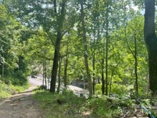 2457 N Us 19e Highway Property Photo 11