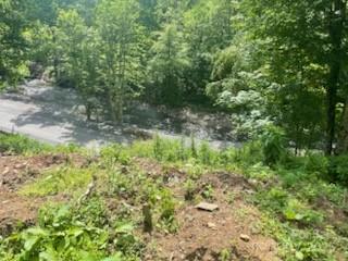 2457 N Us 19e Highway Property Photo 12