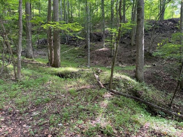 0 Cane Mountain Lane Property Photo 1