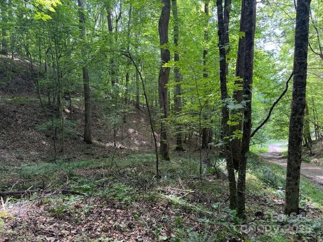 0 Cane Mountain Lane Property Photo 2