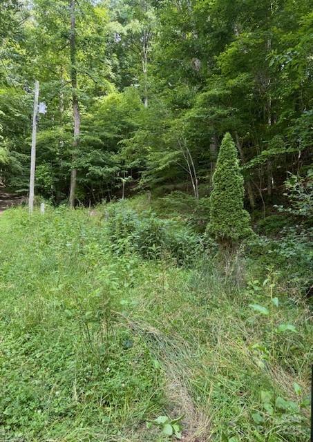 0 Cane Mountain Lane Property Photo 3