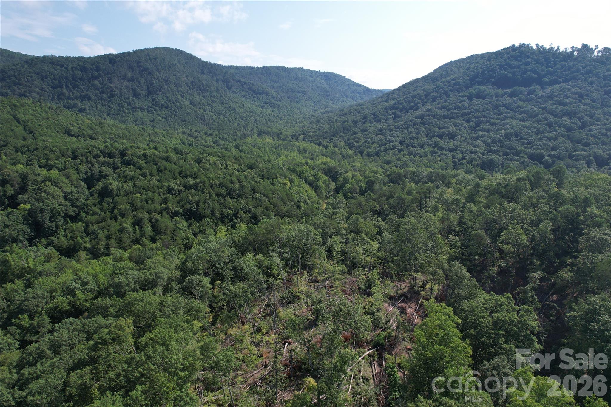 0 Camp Mccall Road Property Photo 1