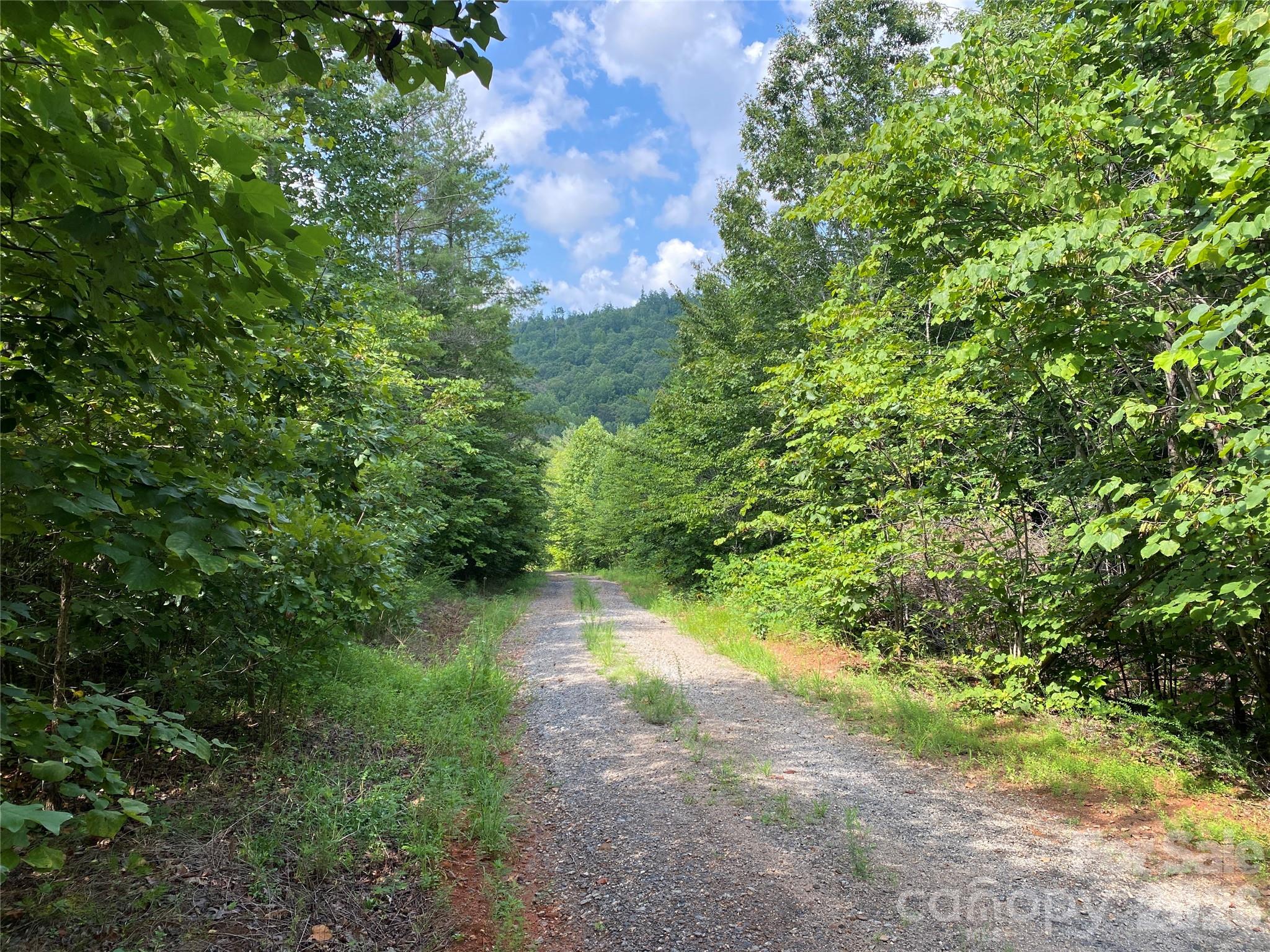0 Camp Mccall Road Property Photo 3