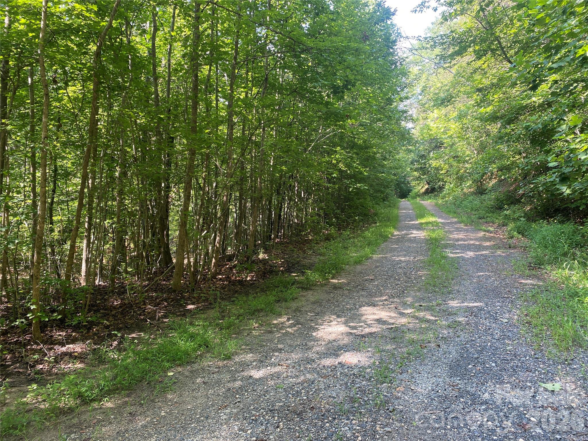 0 Camp Mccall Road Property Photo 4
