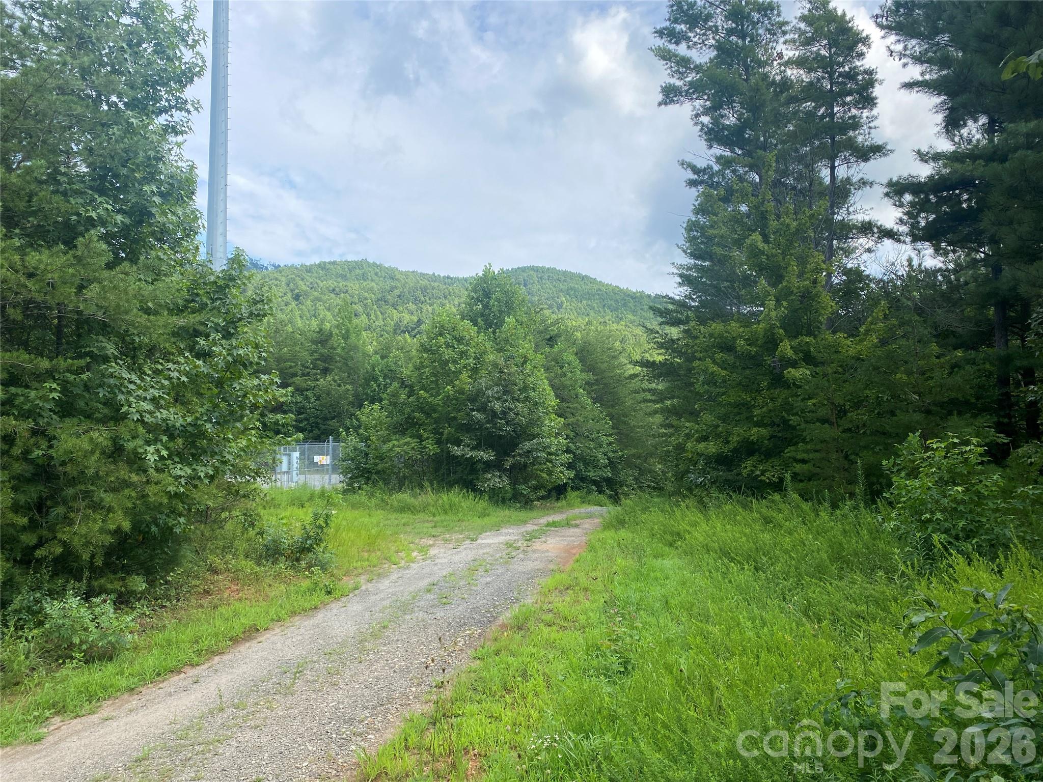 0 Camp Mccall Road Property Photo 6