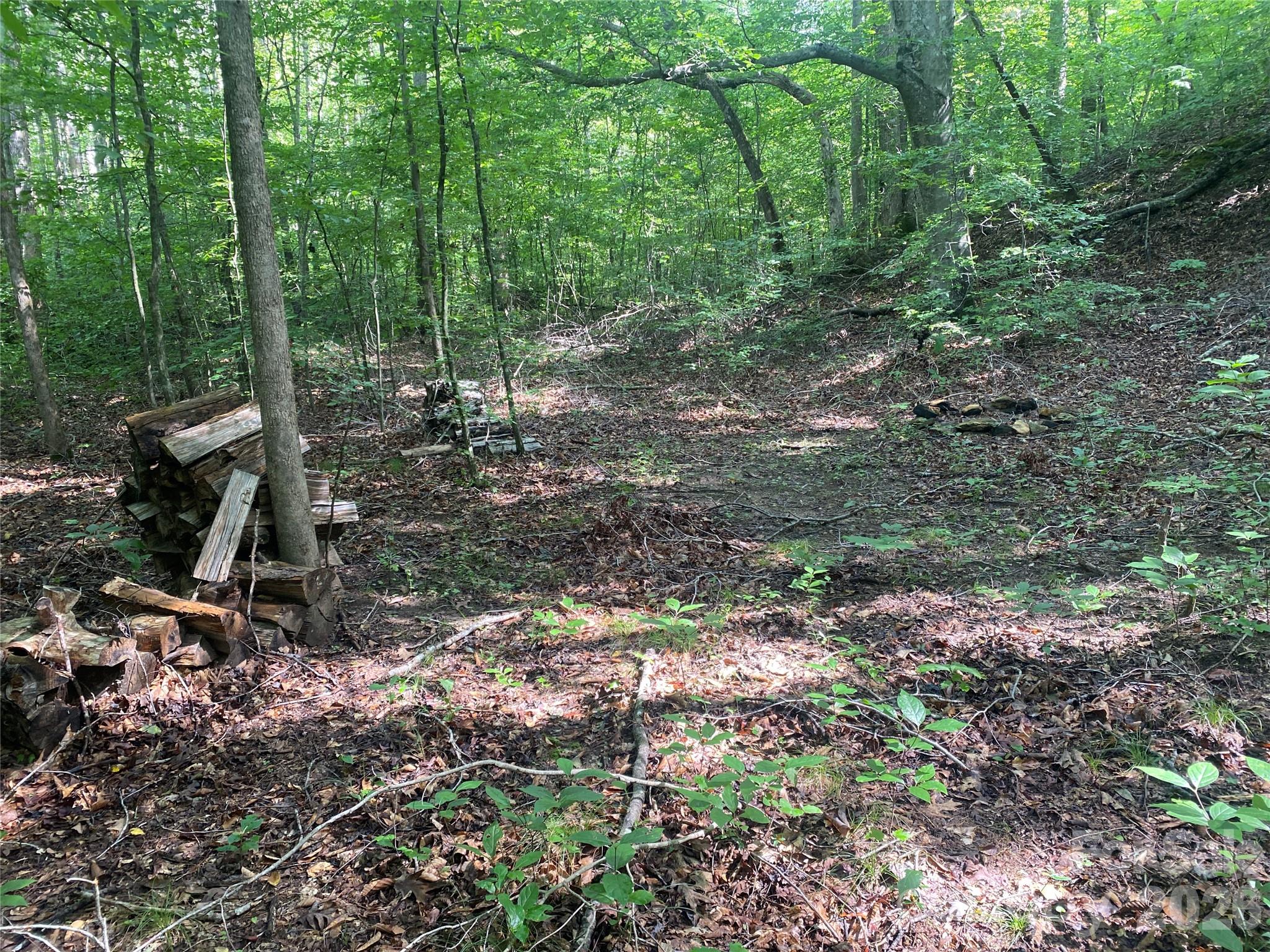 0 Camp Mccall Road Property Photo 10