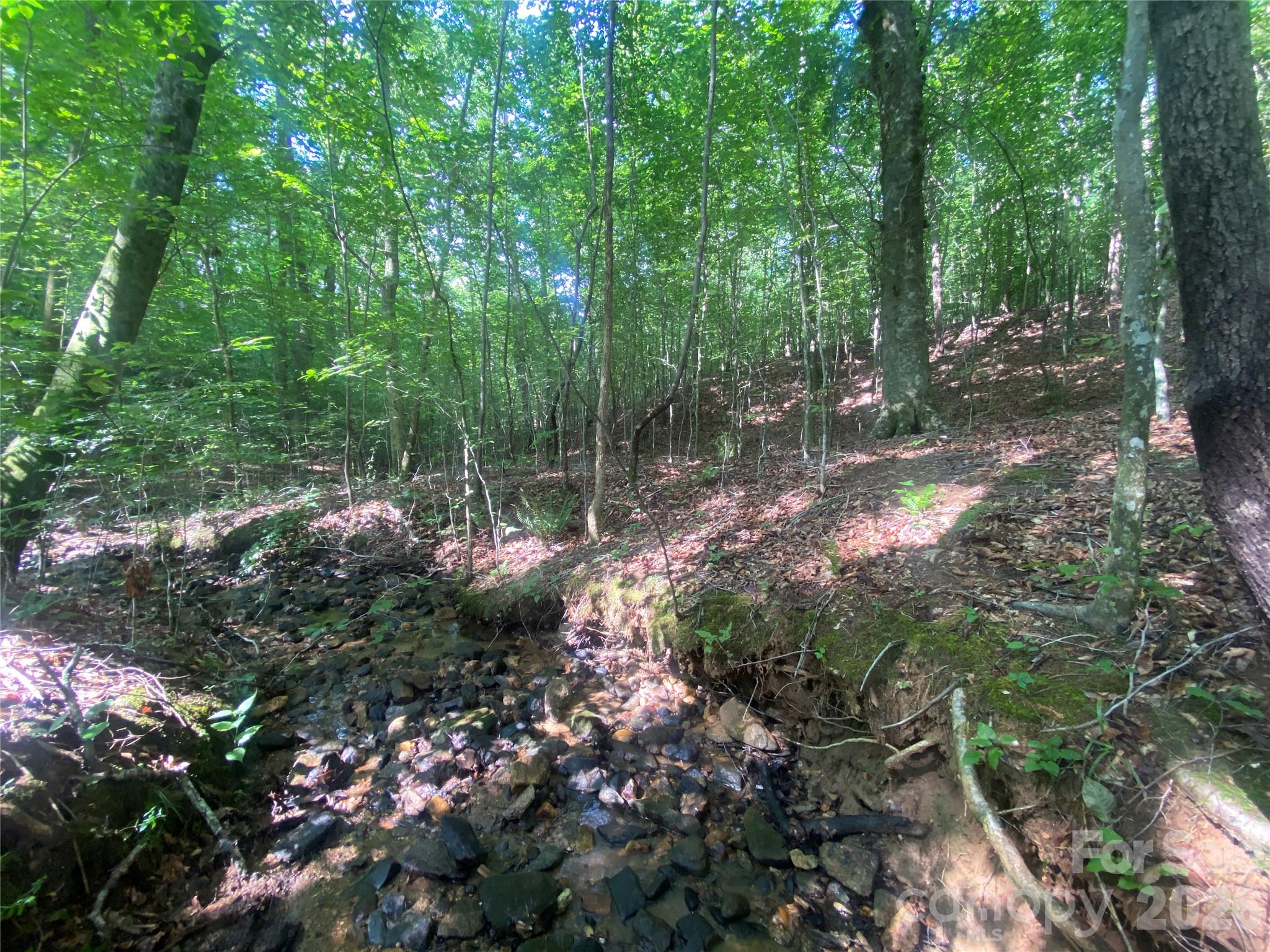 0 Camp Mccall Road Property Photo 11
