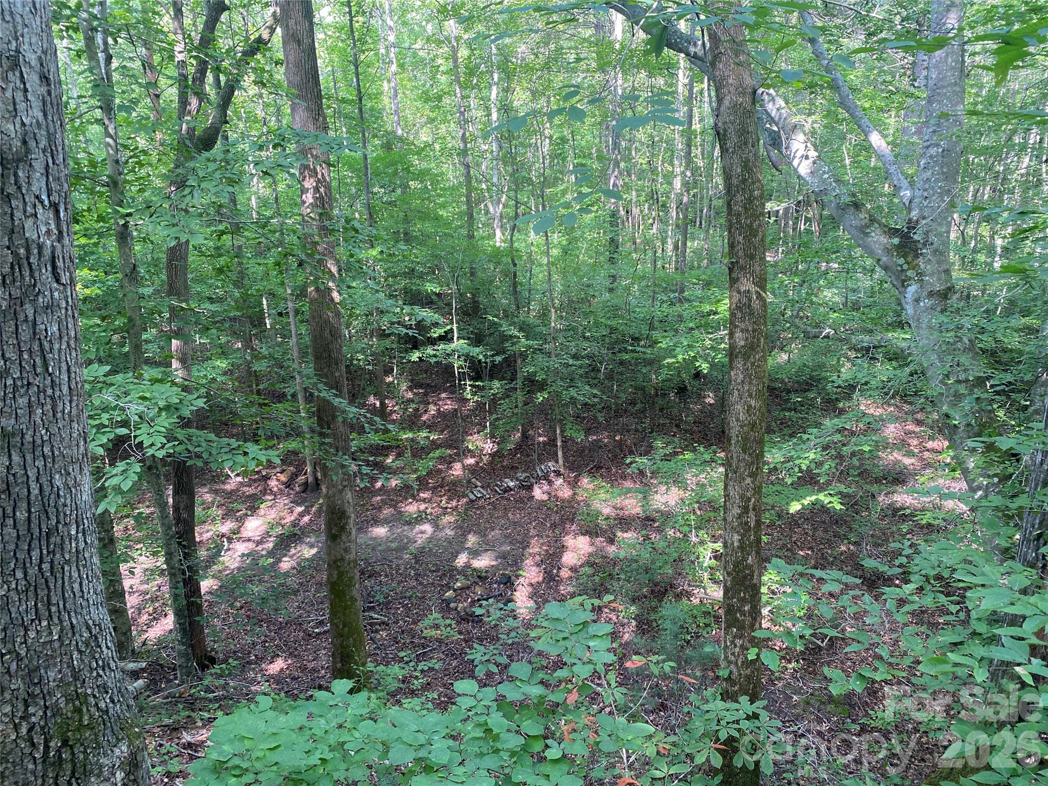 0 Camp Mccall Road Property Photo 16
