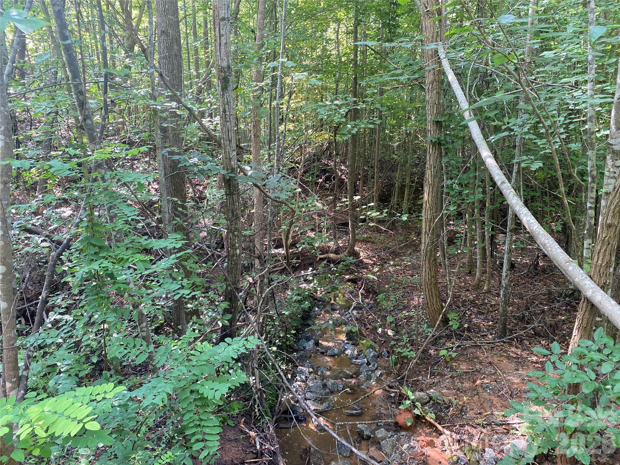 0 Camp Mccall Road Property Photo 17