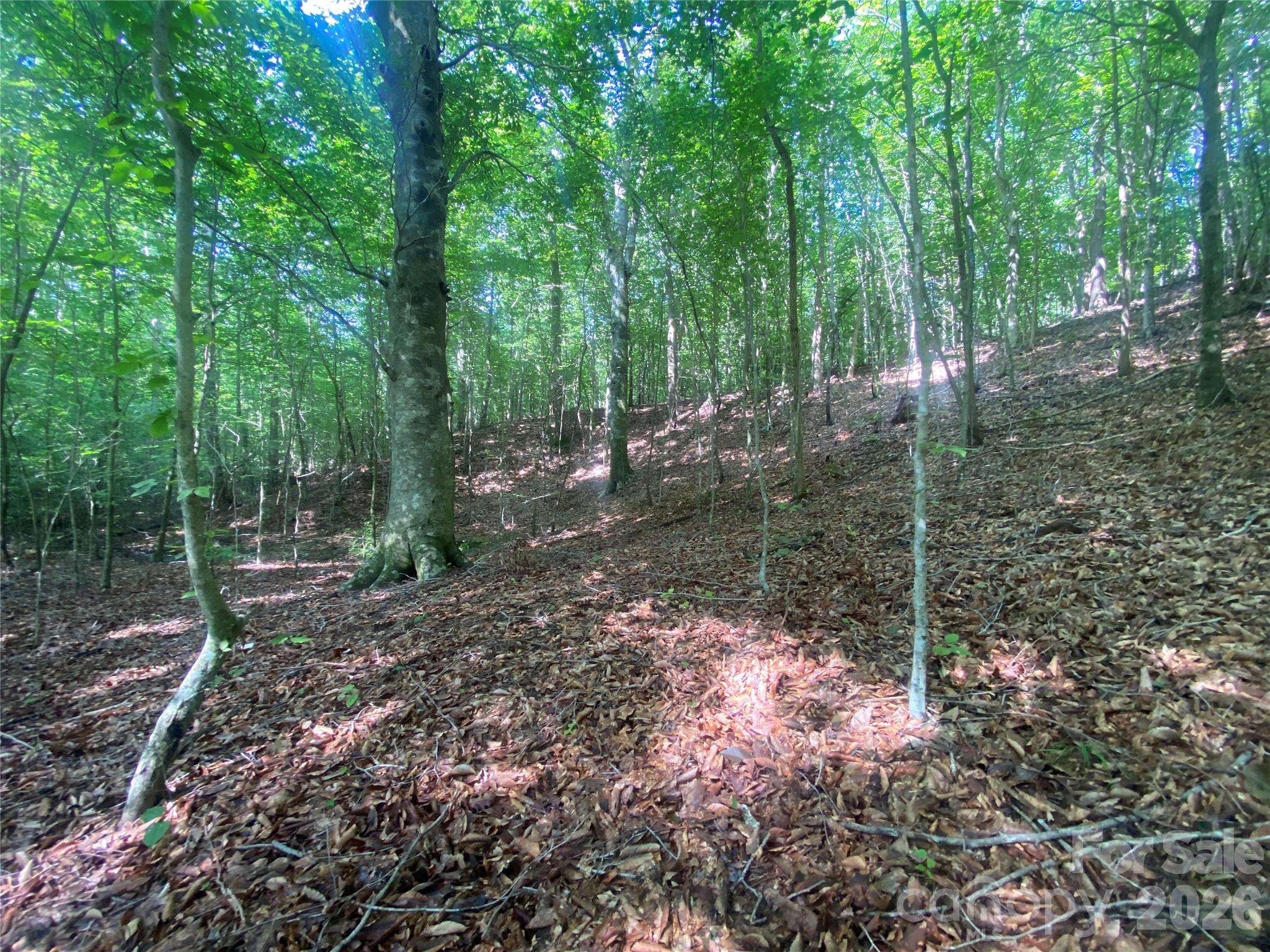 0 Camp Mccall Road Property Photo 19