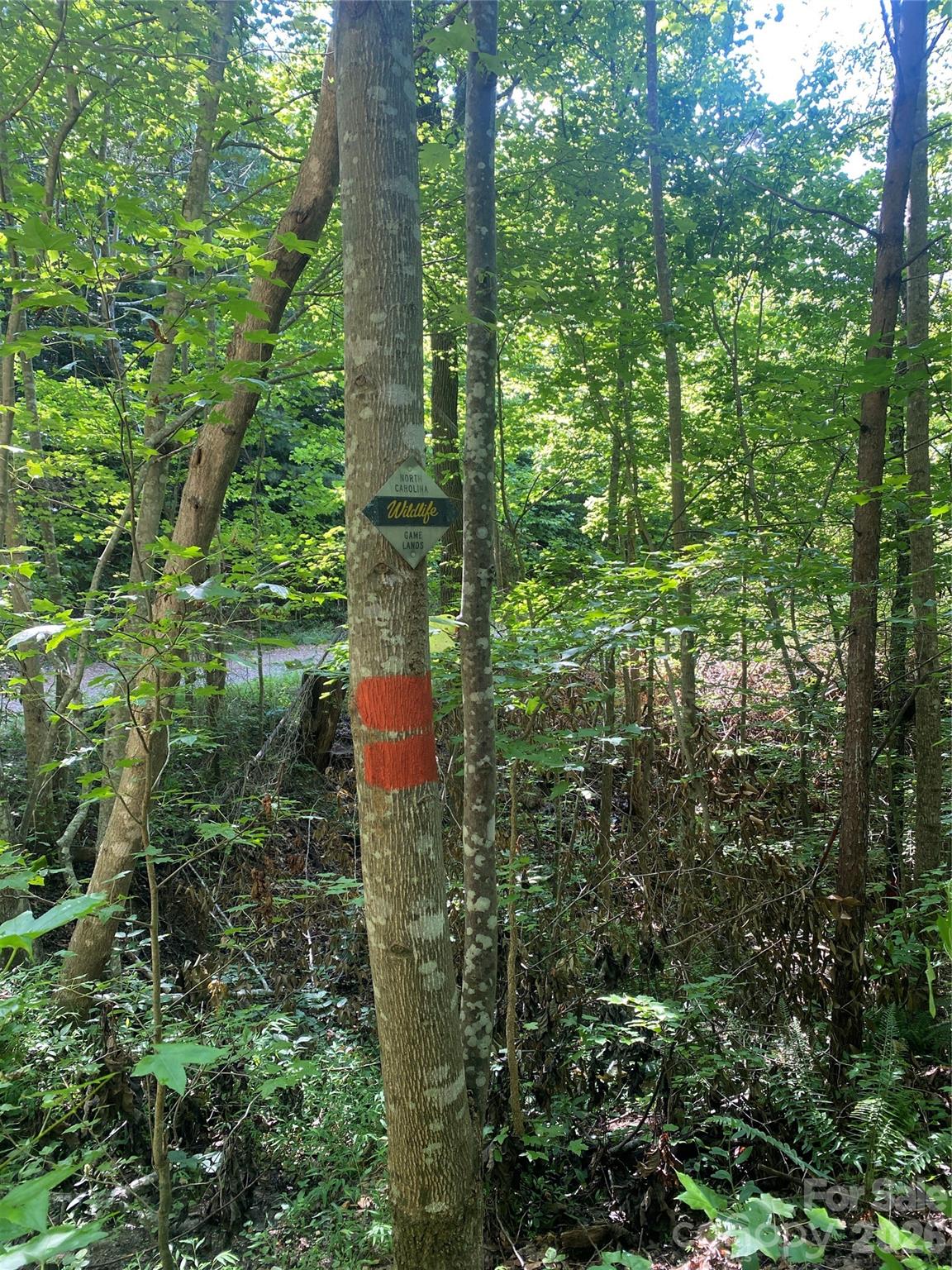 0 Camp Mccall Road Property Photo 20