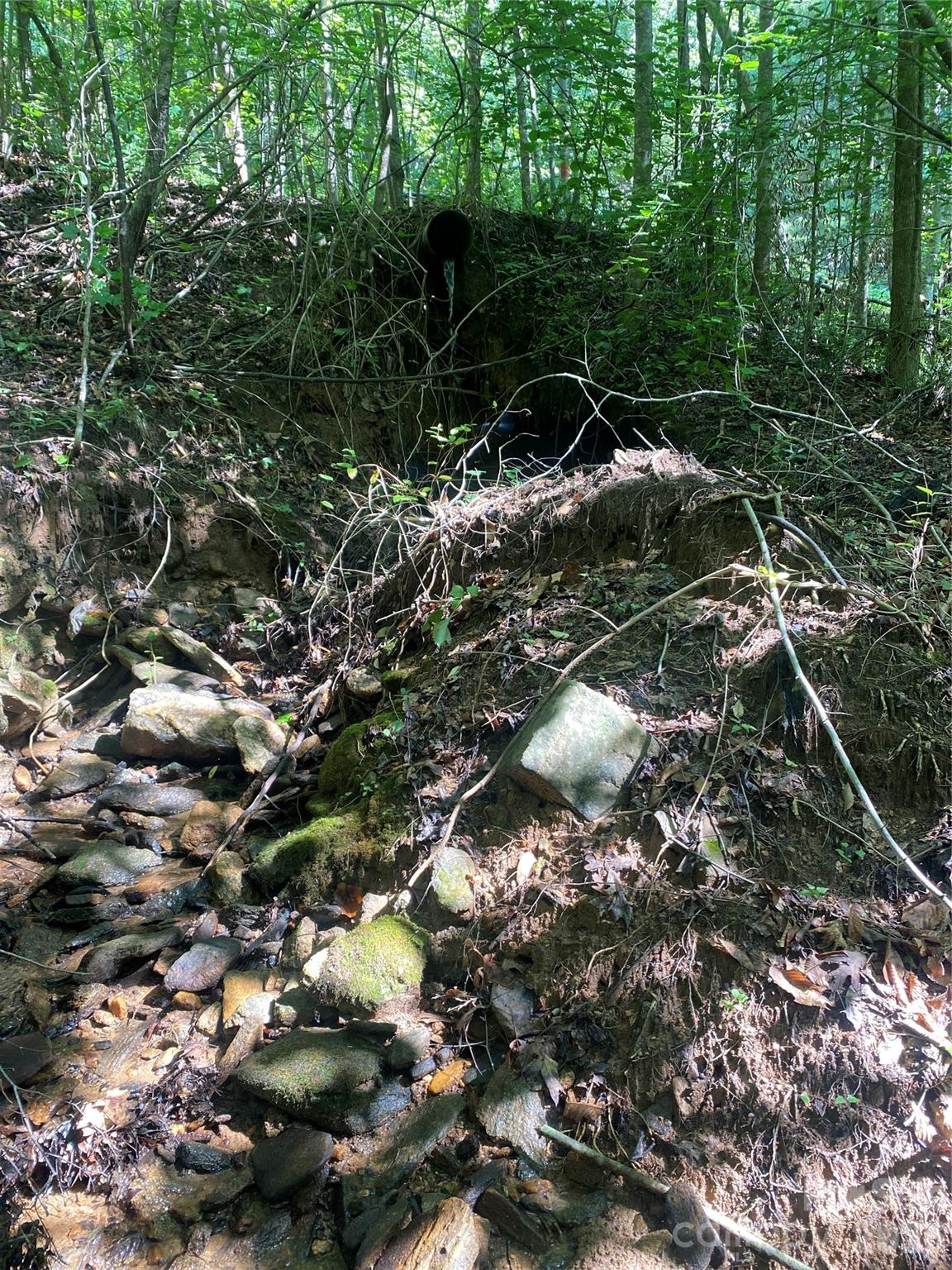 0 Camp Mccall Road Property Photo 22