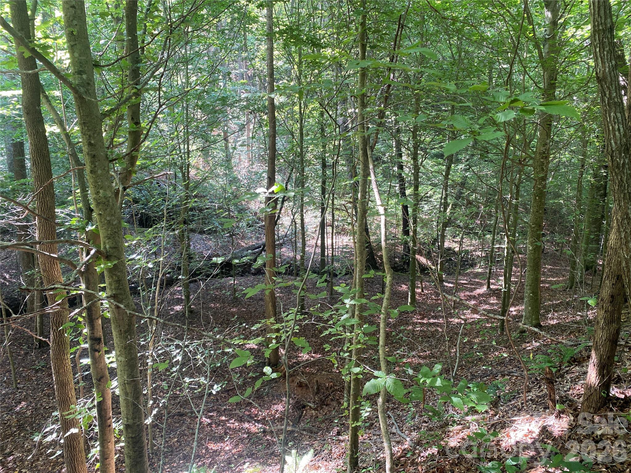 0 Camp Mccall Road Property Photo 25