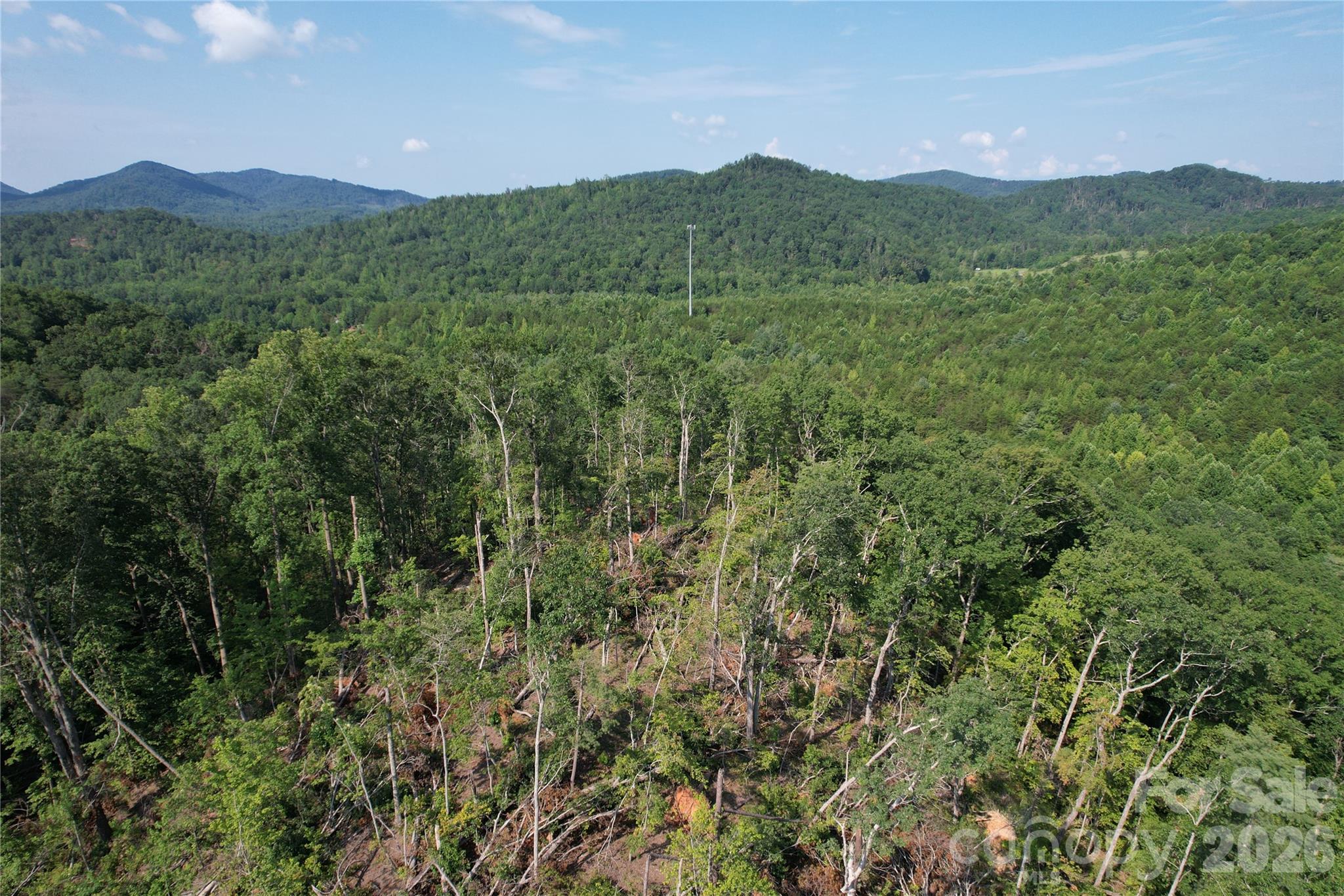 0 Camp Mccall Road Property Photo 28