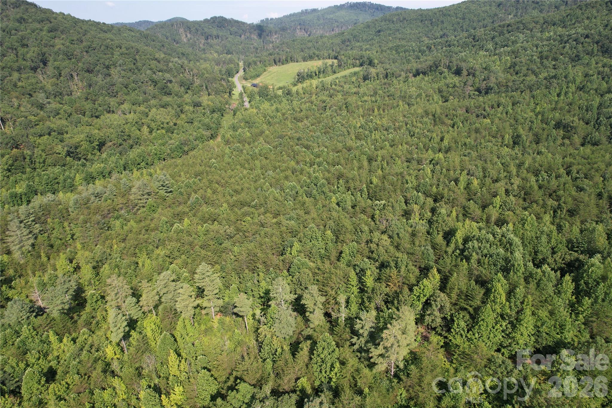0 Camp Mccall Road Property Photo 29